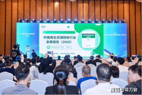 2024年再生資源回收總量達4.01億噸——《中國再生資源回收行業發展報告（2025）》正式發布:再生資源回收公司