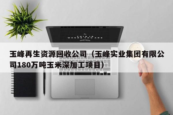 玉峰再生資源回收公司（玉峰實業(yè)集團有限公司180萬噸玉米深加工項目）