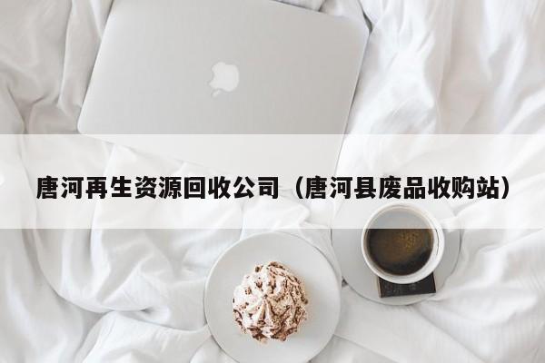 唐河再生資源回收公司（唐河縣廢品收購站）