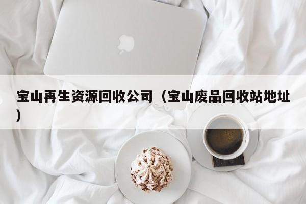 寶山再生資源回收公司（寶山廢品回收站地址）
